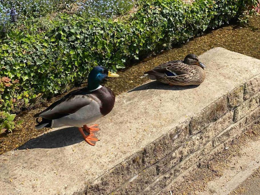 Beautiful Cotswold Couples Retreat Villa Bourton-on-the-Water Kültér fotó